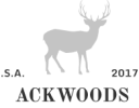 Logo 11.png